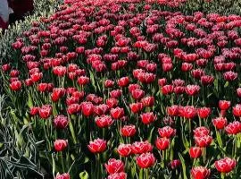 Full Downtown Access-Central Location-Self Checkin