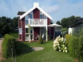 Ferienhaus mit Sauna am Duemmer See