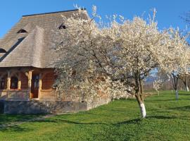 Pensiunea Agroturistica Casa Pribegilor，位于Breb的酒店
