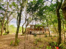 Branch Bound Cabins - Bathurst Village，位于Bathurst的酒店