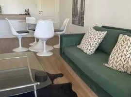 Dpto en Neuquén amueblado 2 ambientes, muy luminoso en zona céntrica