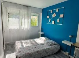 Chambre spacieuse - appart sympa chez l'habitant