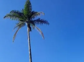 Sítio em Mogi das Cruzes