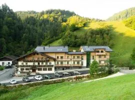 Friedlwirt-Kraftplatz Natur