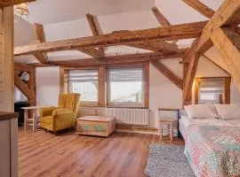Folwark i apartameny Malinowy Chruśniak