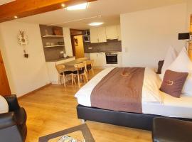 Gästehaus Holzer Kreuz - Ferienwohnung "Narzisse"，位于Fröhnd的酒店