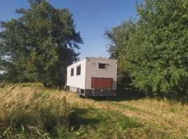 Mája u lomu