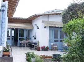 ANANKE Home