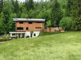 Waldblick - Neubau - Self-Check-In - kein Verkehr - am Wald - Parkplätze vor Tür - apartment or double room