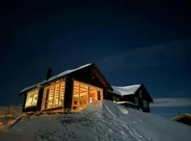 Renovated Mountain Cabin With Mountain Views