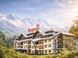 Regnum Bansko Ski Hotel & SPA，位于班斯科的酒店