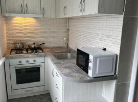 Private Apt style Cottage in Comrat Parking WiFi，位于Comrat的酒店