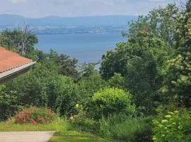 Les Bruyeres au Lac