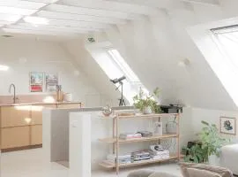 CODAK suite