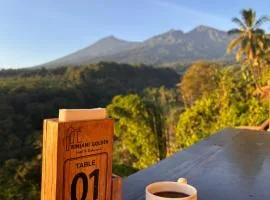 Rinjani Golden