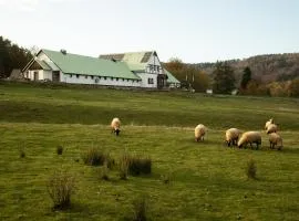 Resort Hvozd