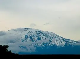 Kiusa Badget Lodge