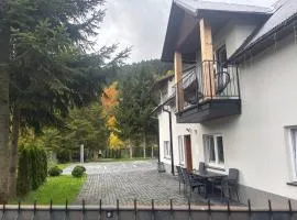 Domek nad Dunajcem