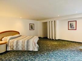 Hotel Altum Business，位于托卢卡的酒店