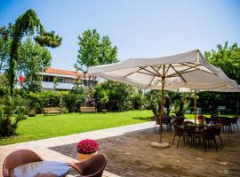 Phi Hotel Alcione，位于滨海弗兰卡维拉的酒店