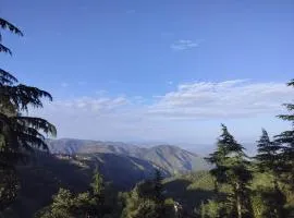 The peace holiday home stay