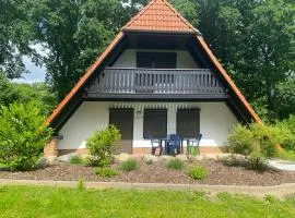 Finnhaus Brizi
