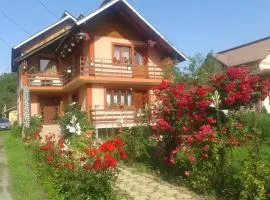 Nopti de Vara Transfăgărășan