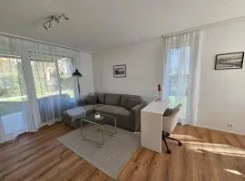Cozy Apartment near Zurich