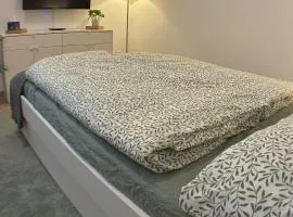 Apartment am Bahnhof mit Self-Check-in