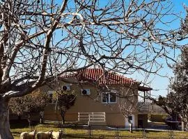 Hercules casa
