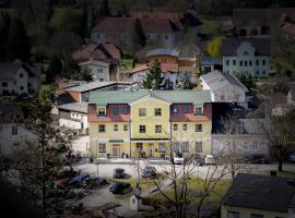 Hotel Zur Alten Schule，位于Pitten的酒店