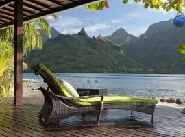 Robinson's Cove Villas - Deluxe Wallis Villa