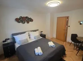 Apartment Almblick