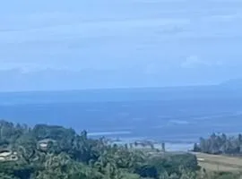Sky view
