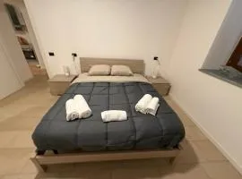 Casa ajolote