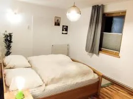 Apartment Mizi