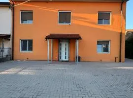Casa Domus Oppiorum