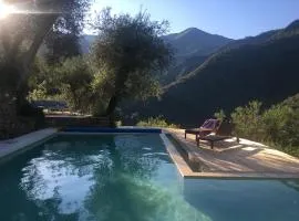 Il wokini