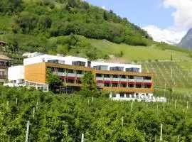 Bio Wellnesshotel Pazeider