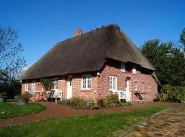 Reet Luxusfriesenhaus Matzen