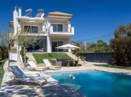 Blue Pine Villa