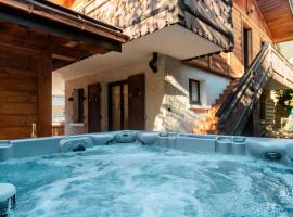 L'Ours appartement centre Jacuzzi，位于沙泰勒的酒店