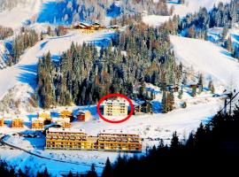 Apartments Bergblick，位于索内纳尔佩·纳斯费尔德菲斯滑雪缆车附近的酒店