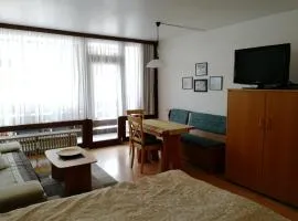 Schloss Grubhof Appartement