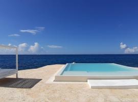 Luxury Oceanfront Penthouse with Private Rooftop & Infinitive pool -Tracadero Beach Club，位于巴亚希贝的酒店