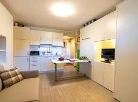 Modern Practical Studio In Sauze