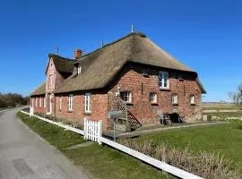 Friesenhaus Westerschütting