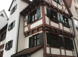 Ulmer Spatzennest