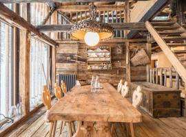 Tannhäuser Mountain Chalet，位于普雷多伊的酒店