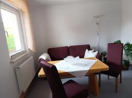 Zirbelkiefer 8